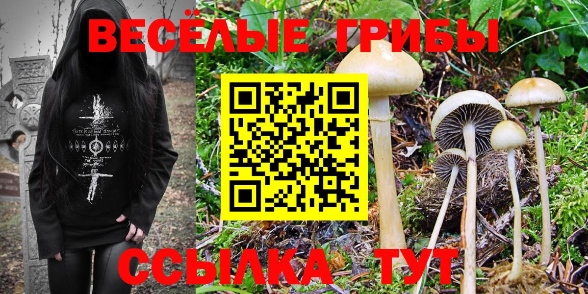 Галлюциногенные грибы Cubensis  Вход с VPN  Медногорск 